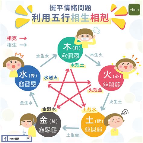 八字 生剋|八字命理：五行派的生剋規則(可開CC字幕，簡繁體皆可)